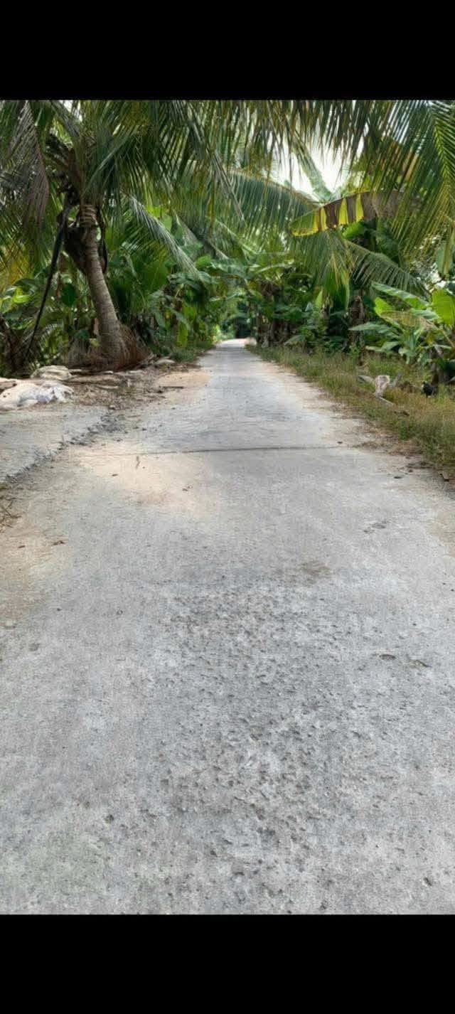 Đất vườn 10.000m² tại Đại Hải, Kế Sách chỉ 2.7 tỷ - Sổ hồng chính chủ!