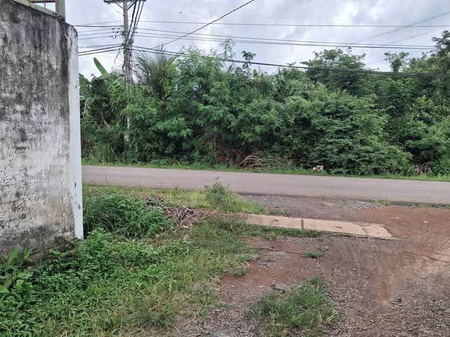 Đất vườn Bảo Quang, Long Khánh 11.000m² giá 9,5 tỷ - Đầu tư sinh lời ngay!