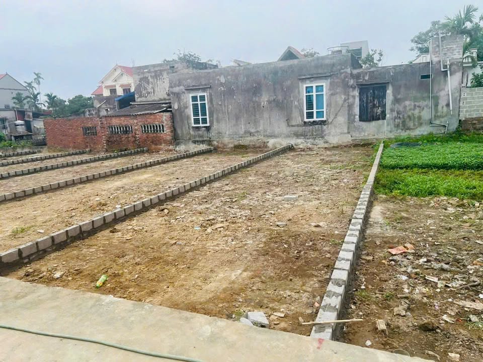 Đất nền An Lão Hải Phòng 64m² giá 700 triệu - Đầu tư sinh lời ngay!