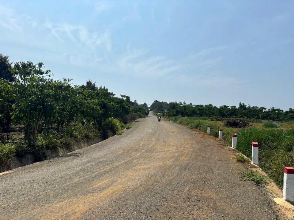 Đất nền Bảo Lộc 11.379m² giá 13.655 tỷ - Đầu tư sinh lời hấp dẫn!