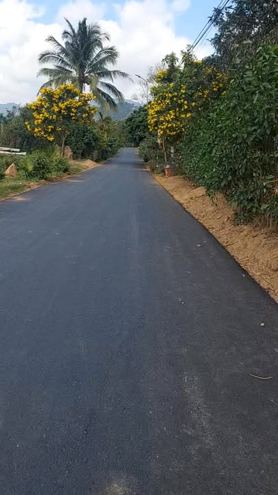 Đất nông nghiệp Sơn Hiệp 20,000m² giá 5.2 tỷ - Sổ đỏ chính chủ, mặt tiền 7m!