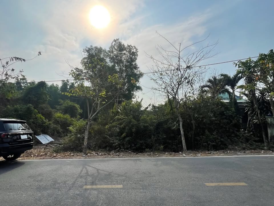 Đất mặt tiền đường Bà Thiên, Nhuận Đức, Củ Chi 982m² giá 8 tỷ - Sổ hồng chính chủ!