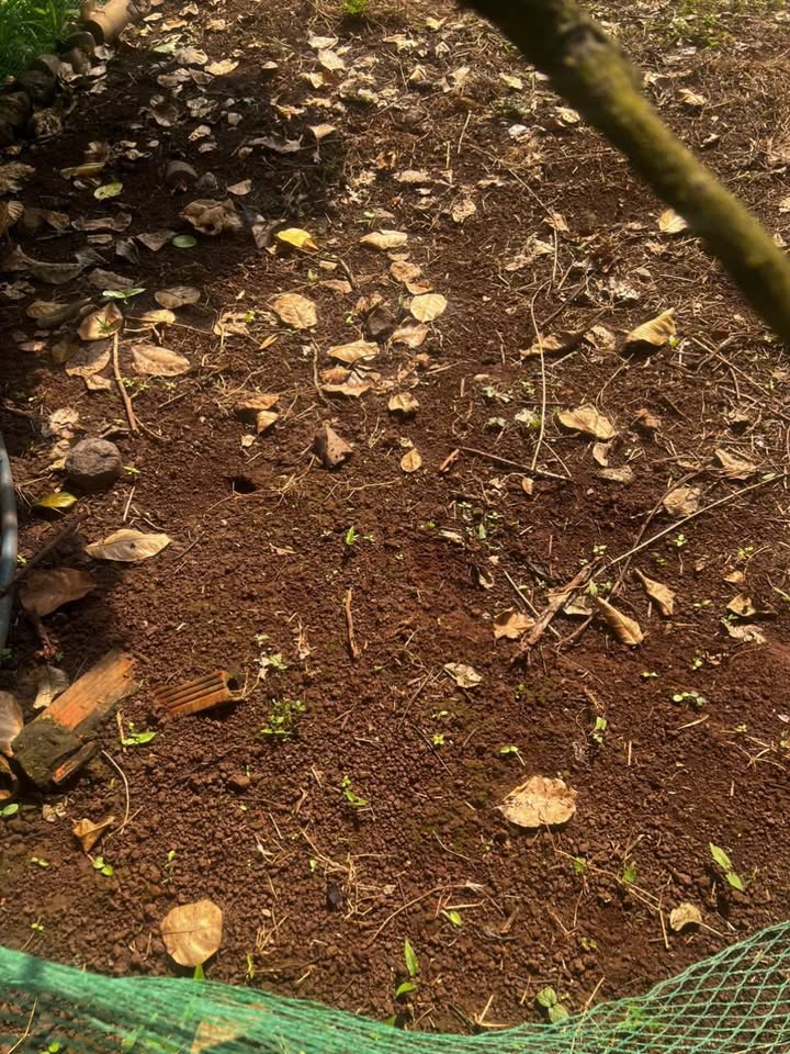 Đất nền Bảo Bình, Cẩm Mỹ 25.200m² giá 2.66 tỷ - Đầu tư sinh lời cao!