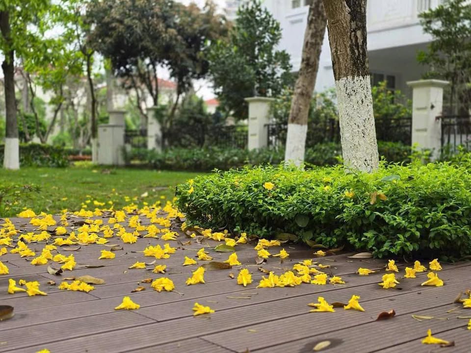 Shophouse cho thuê tại Spkendora, An Khánh, Hoài Đức - Diện tích từ 100m², giá chỉ từ 18 triệu!