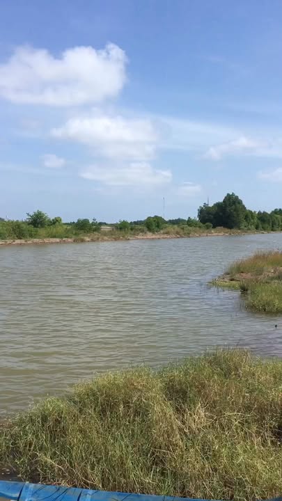 Đất nền xã Hàm Rồng, Năm Căn, Cà Mau 28.000m² giá 2.38 tỷ - Cần sang nhượng gấp!