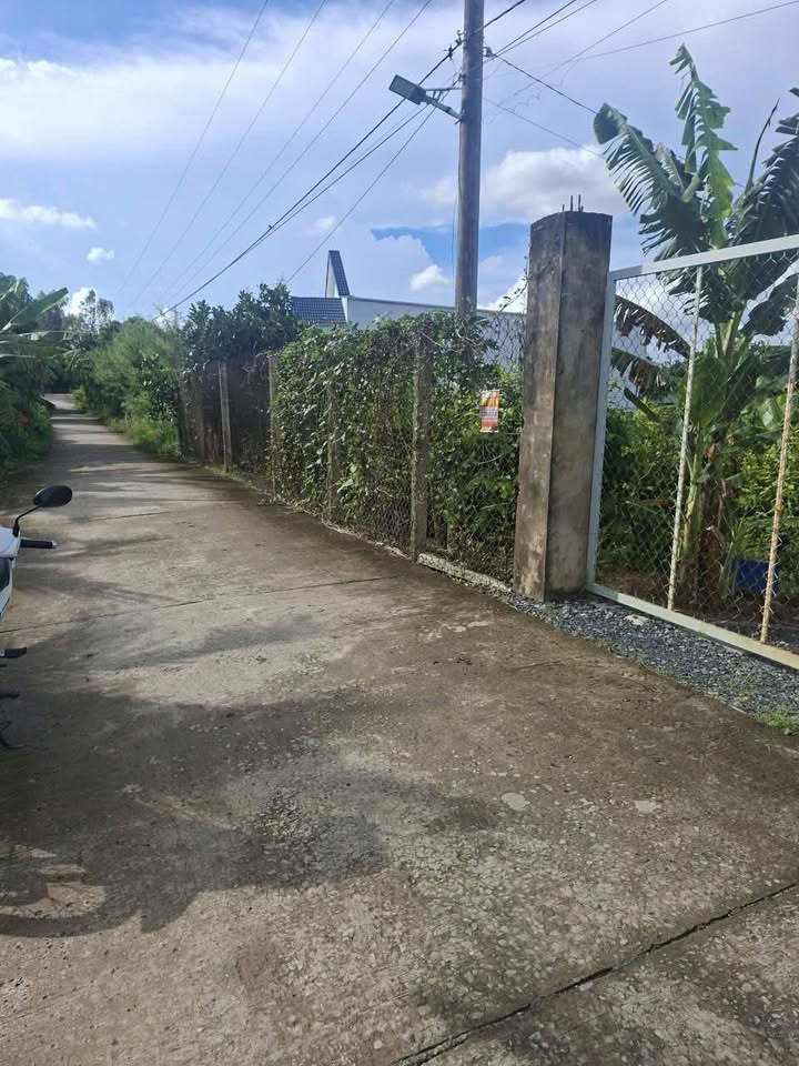 Đất vườn 9000m² xã Long Kiến, An Giang - Mô hình vườn ao chuồng lý tưởng!