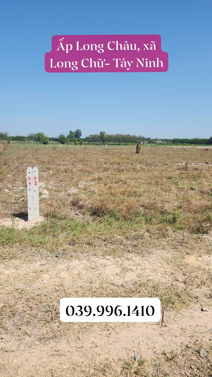 Đất 1000m² tại Ấp Long Châu, Tây Ninh - Giá chỉ 320 triệu - Cơ hội đầu tư hấp dẫn!