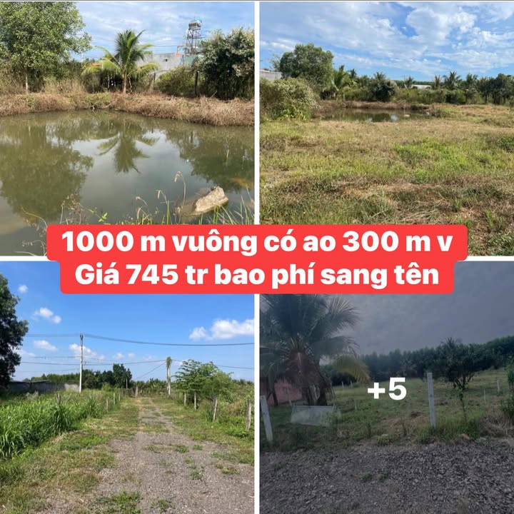 Đất nền Vĩnh An 3600m² giá 745 triệu - Tiềm năng đầu tư sinh lời!