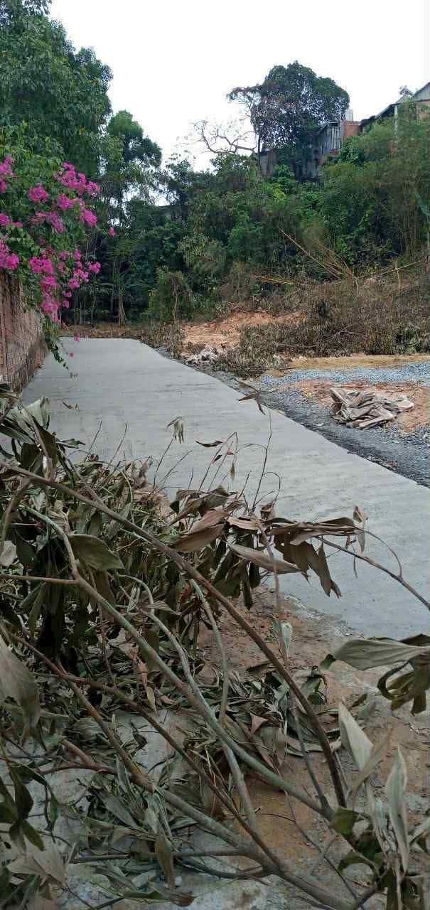 Đất nền Hố Nai 3, Biên Hòa 1000m² chỉ 1,1 tỷ - Mặt tiền đường bê tông!