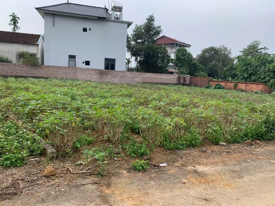 Đất nở hậu 165m² tại Hạ Bằng, Thạch Thất - Đường ô tô vào thoải mái!