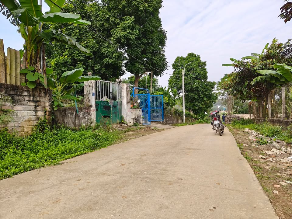 Đất nền Ba Trại Ba Vì 440m² giá 2.1 tỷ - Sổ hồng chính chủ, gần đường lớn!