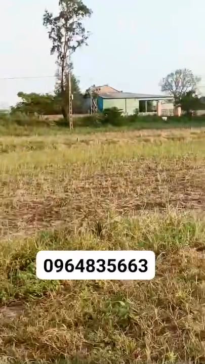 Đất nền Cẩm Xuyên, Hà Tĩnh 200m² giá 1.4 tỷ - Cơ hội đầu tư tuyệt vời!