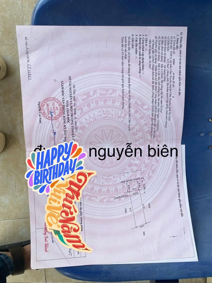 Đất nền Thị trấn Cẩm Xuyên 320m² giá 3 tỷ - Vị trí kinh doanh sầm uất!