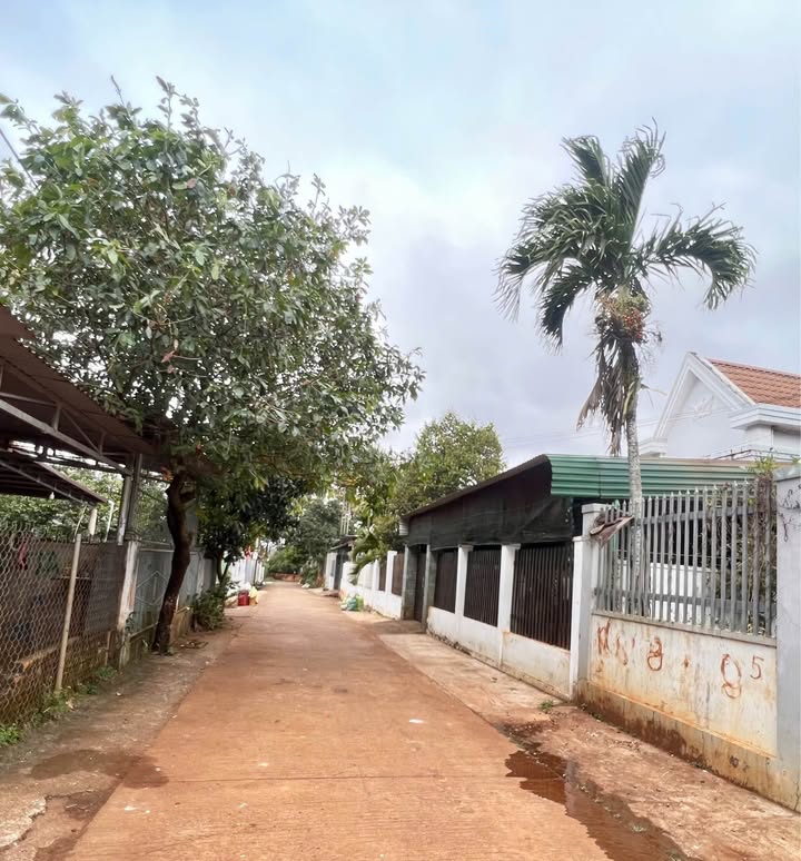 Nhà hẻm 138/13 Nguyễn Lương Bằng, Tân Lập, 200m² giá 3.32 tỷ - Ô tô vào tận nhà!