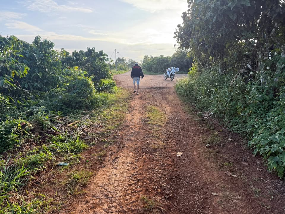 Đất nền Tân Nghĩa Di Linh 273m² giá 550 triệu - Đầu tư sinh lời ngay!