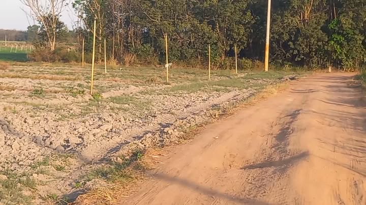 Đất nền Tân Hội, Tân Biên 20.000m² giá 2.5 tỷ - Cơ hội đầu tư hấp dẫn!