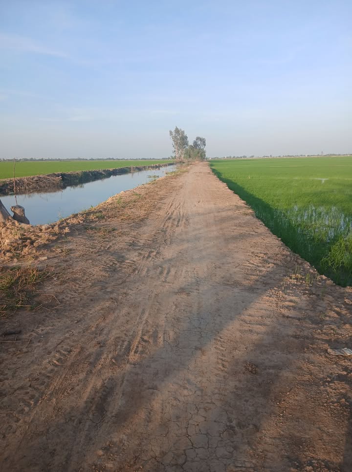 Đất nông nghiệp Tân Công Sính 18000m² giá 2.16 tỷ - Sổ đỏ chính chủ, đầu tư lý tưởng!