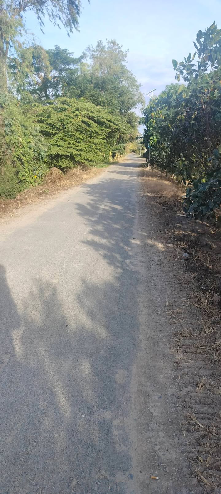 Đất nông nghiệp 38 công tại xã Vĩnh Hanh, An Giang - Cập lộ nhựa, giá cực tốt!