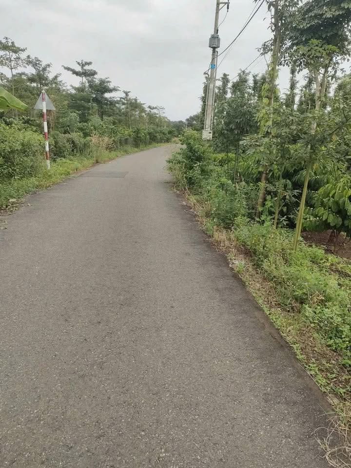 Đất nền Xuân Sơn, Châu Đức 1440m² giá 2.1 tỷ - Sổ hồng riêng, đầu tư sinh lời!