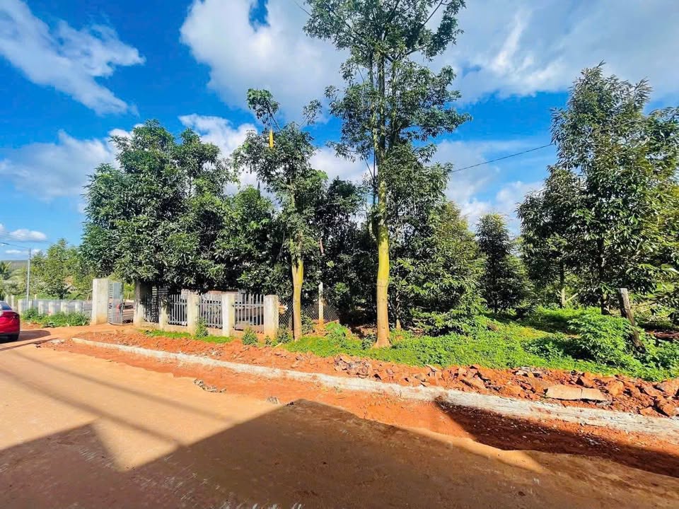 Đất mặt tiền đường Nhựa Buôn Đung A, Ea Kar, Đắk Lắk 280m² - Phù hợp kinh doanh sầm uất!