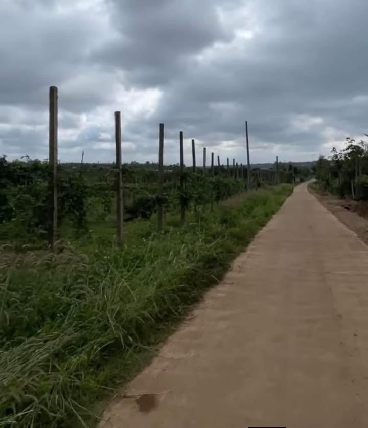 Đất thổ cư Phú Xuân 5070m² giá 2.1 tỷ - Tiềm năng đầu tư lớn!