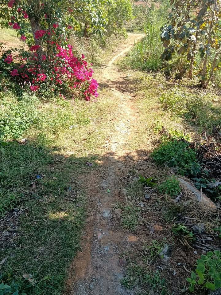 Đất trống Ea Kiết Cư M'gar 7800m² giá 800 triệu - Pháp lý đầy đủ, thích hợp trồng cây