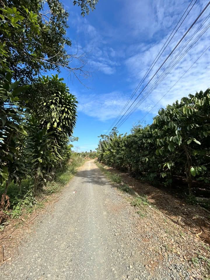 Đất thổ cư Lộc Thành Bảo Lâm 360m² giá 1.4 tỷ - Đầu tư sinh lời ngay!