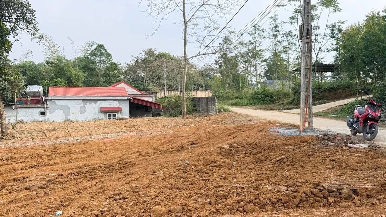 Đất nền khu 1 Phường Phong Châu, Phú Thọ 350m² giá 1 tỷ - Đầu tư sinh lời hấp dẫn!