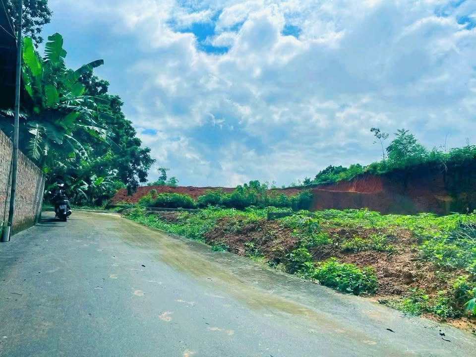 Đất nền Liễn Sơn - Lập Thạch 335m² giá tốt - Cơ hội đầu tư hiếm có!