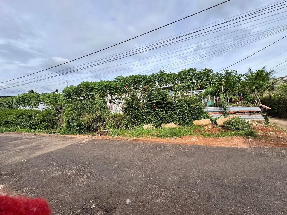 Đất nền đẹp hẻm cấp 1 Võ Văn Kiệt, Khánh Xuân 403m² giá 3.2 tỷ - Đầu tư sinh lời ngay!