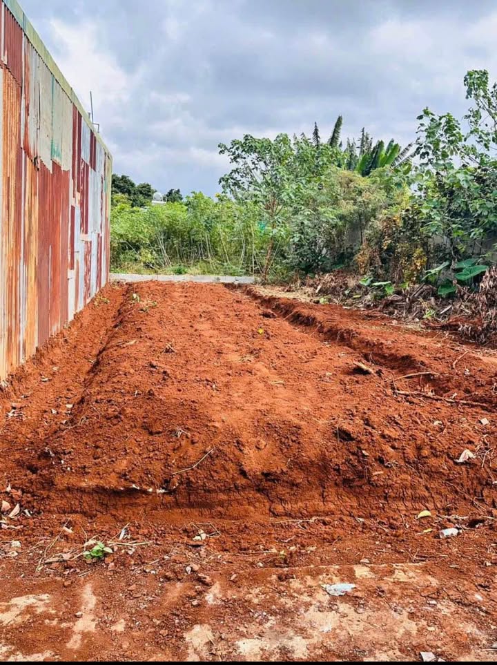 Bán đất hẻm 327 Y Moal, Buôn Ma Thuột 97.5m² - Vị trí đẹp, an ninh tốt!