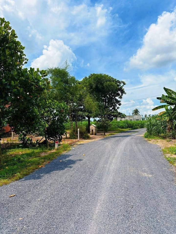 Đất nền Suối Đá Dương Minh Châu 150m² giá 290 triệu - Cơ hội đầu tư tuyệt vời!