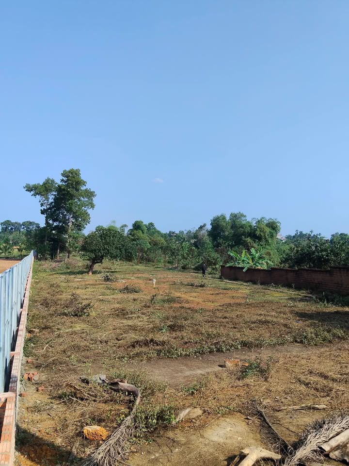 Đất mặt hồ Đồng Trạng, Cổ Đông, 2100m² - Cơ hội đầu tư tuyệt vời!