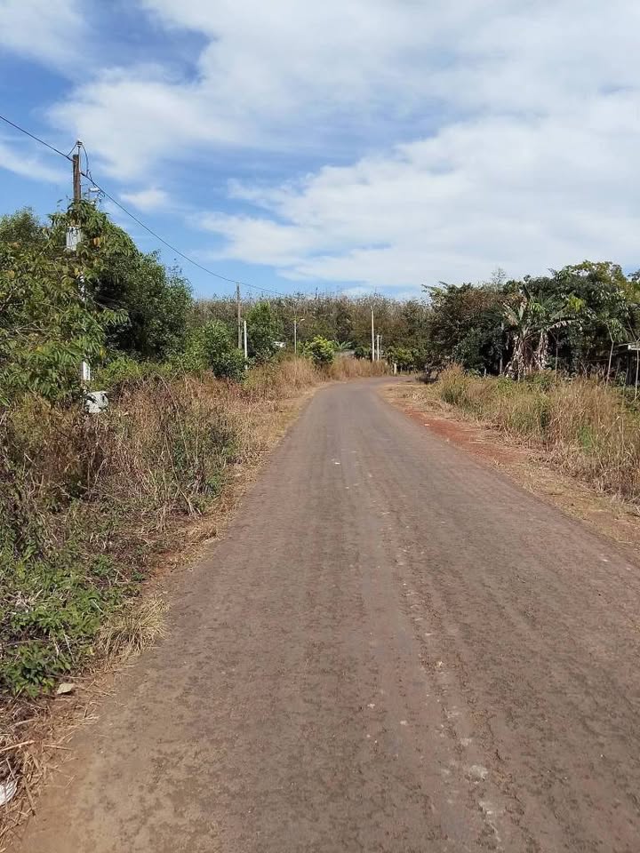 Đất nền Tân Phước, Đồng Phú 520m² giá 900 triệu - Đầu tư sinh lời ngay!