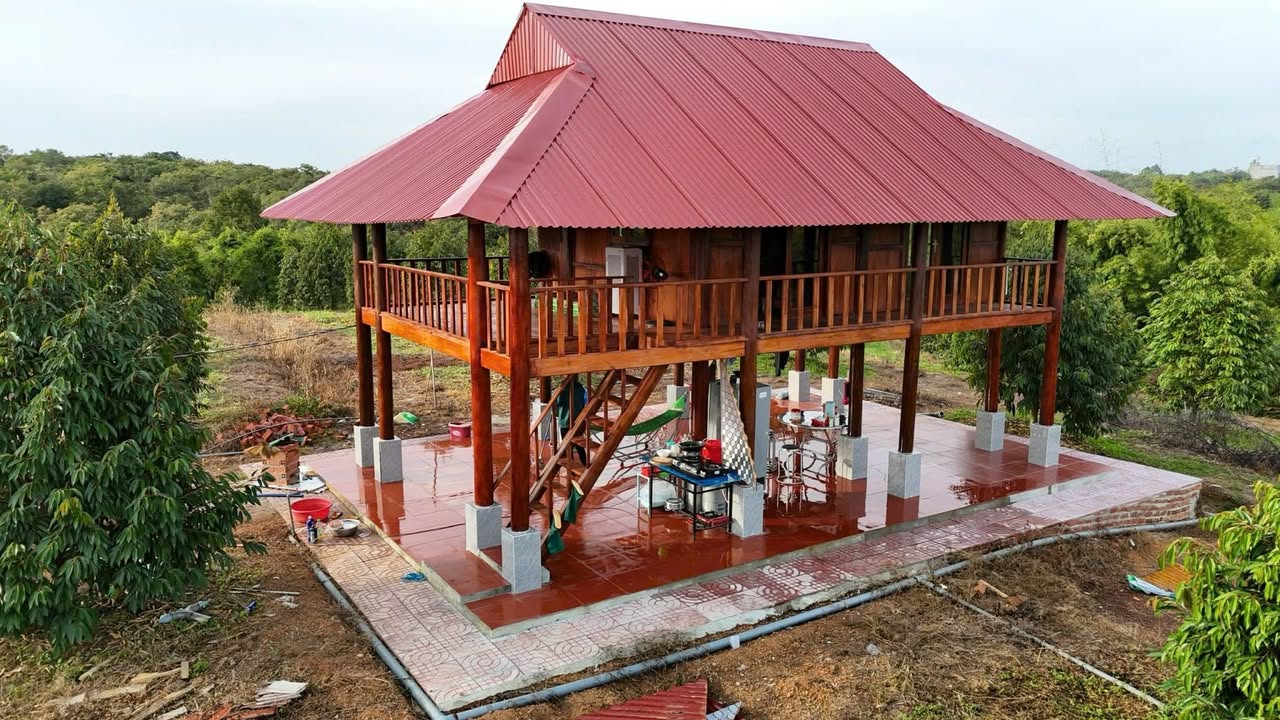 Farm Ấp 4, Thanh Hòa, Bù Đốp 13.361m² giá 3.2 tỷ - Sẵn sàng đầu tư!