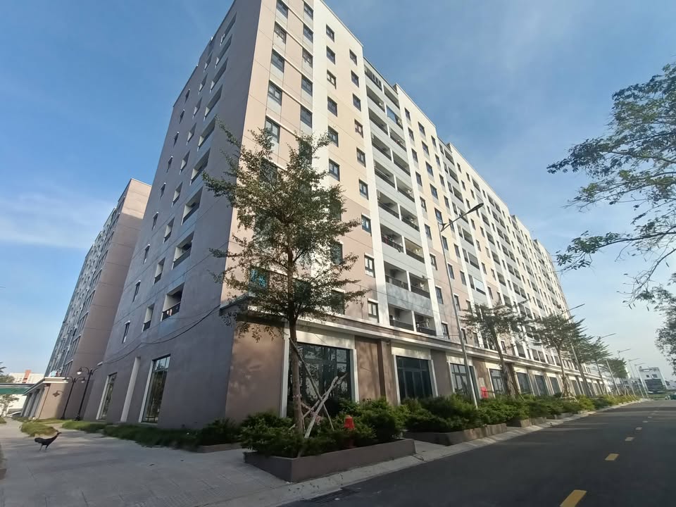 Căn hộ Golden City Long Xuyên 59m² giá 3 triệu - Không nội thất, view thoáng mát!