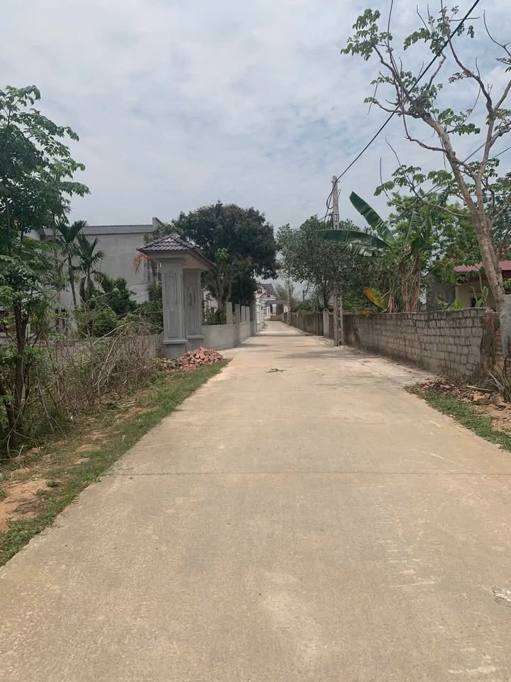 Đất thổ cư 130m² tại Tân An, Bắc Giang - Đường ô tô tránh nhau, giá thỏa thuận!