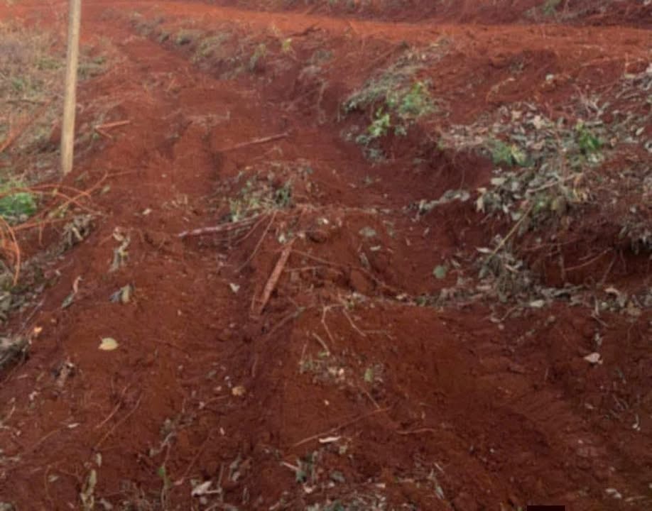 Đất nền 2 mặt tiền khu Quảng Hiệp 7200m² giá chỉ 550 triệu - Cơ hội đầu tư sinh lời!