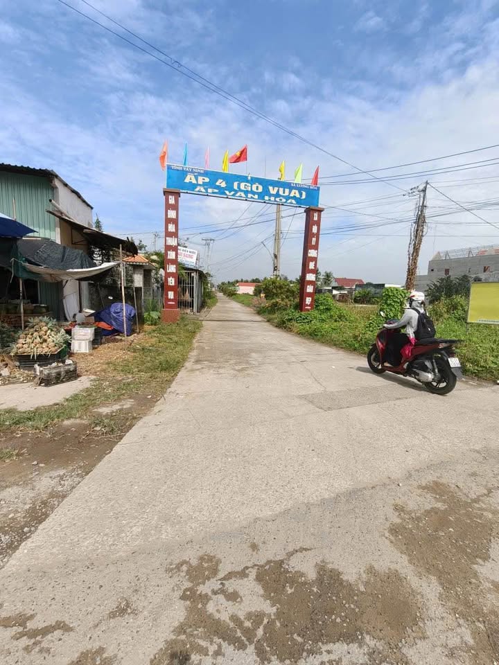 Đất nền Bến Lức 94.5m² giá 1.25 tỷ - Vị trí đẹp, xây dựng tự do!