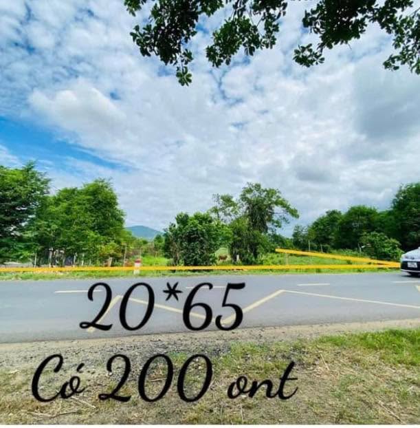 Đất nền Suối Bạc, Sơn Hòa 1470m² giá 60 triệu/m² - Vị trí đắc địa ngay khu dân cư!