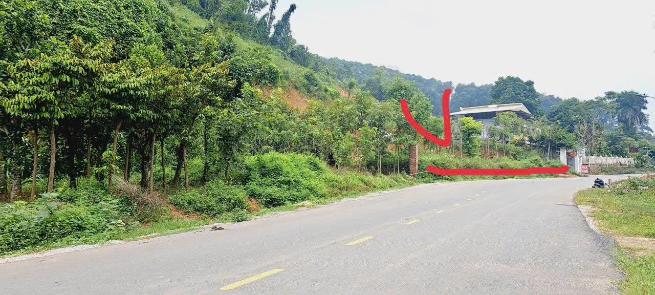 Đất mặt đường nhựa tại Ba Vì 2220m² giá 13.32 tỷ - Đầu tư sinh lời ngay!