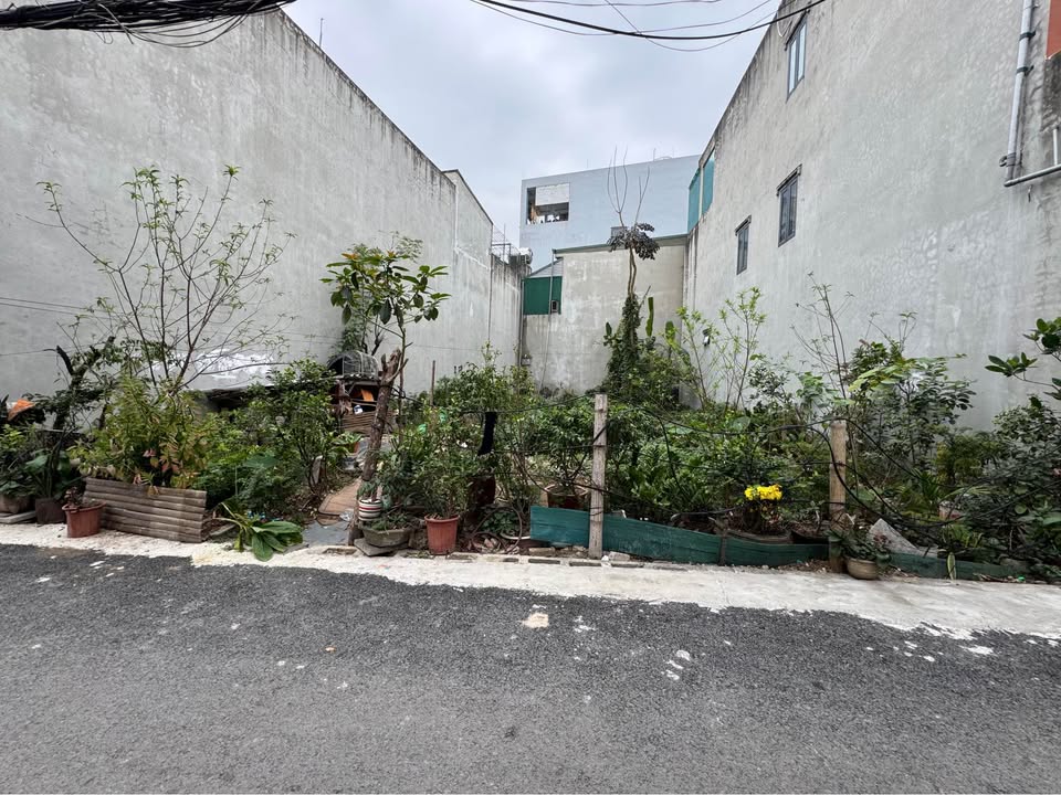 Đất nền Đông Hương, Thanh Hóa 202,3m² giá 6 tỷ - Pháp lý rõ ràng, thương lượng ngay!