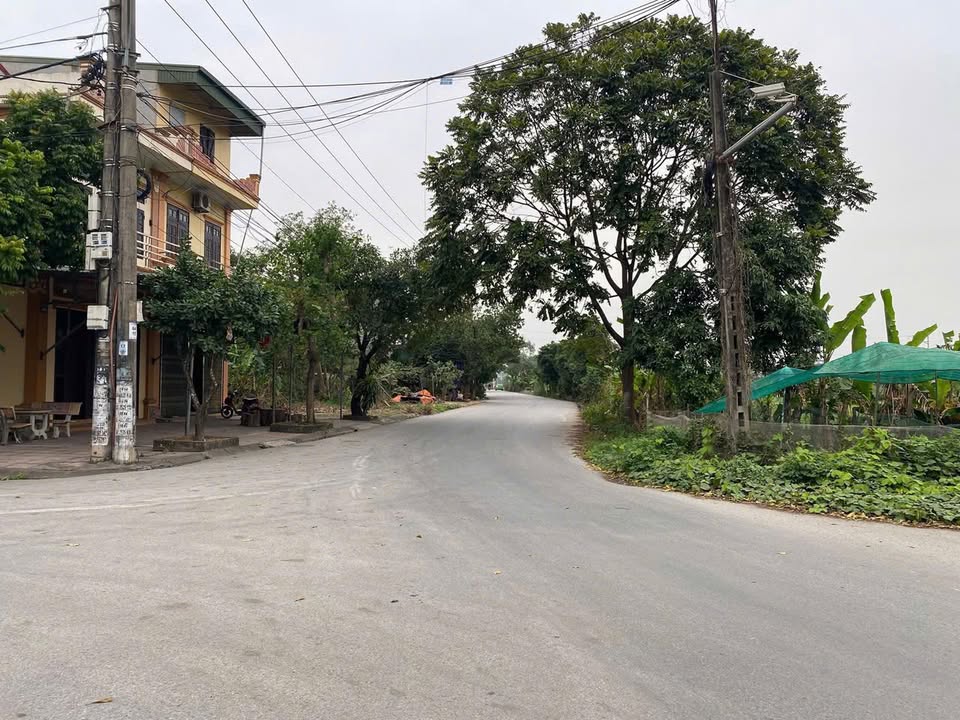 Đất nền 2 mặt tiền ngõ 251 Nguyễn Văn Cừ, Ninh Bình 95m² - Vị trí trung tâm, giá thỏa thuận!