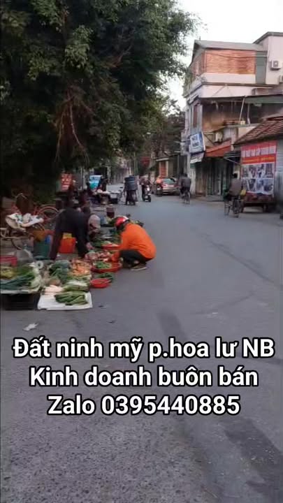 Đất Ninh Mỹ, Hoa Lư, Ninh Bình 54m² - Đầu tư sinh lời ngay!
