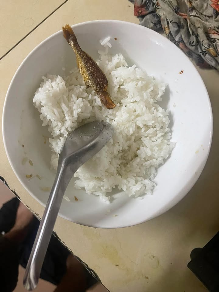 Đất thổ cư Tân Hiệp Hóc Môn 144m² giá 2.4 tỷ - Đầu tư sinh lời hiếm có!