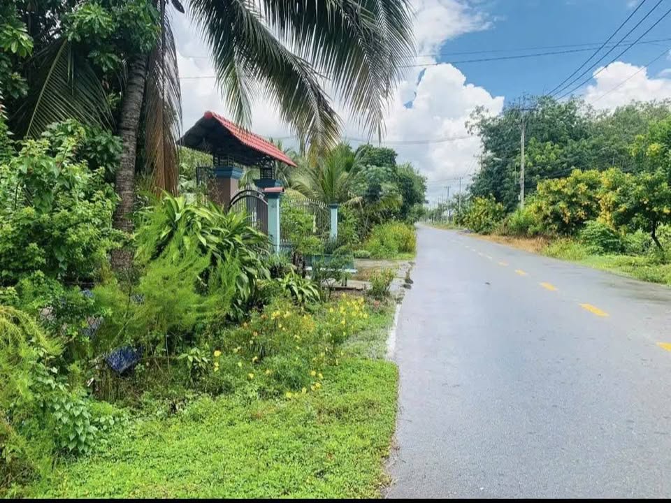 Đất mặt tiền An Nhơn Tây, Củ Chi 625m² giá 5.8 tỷ - Cơ hội đầu tư tốt!