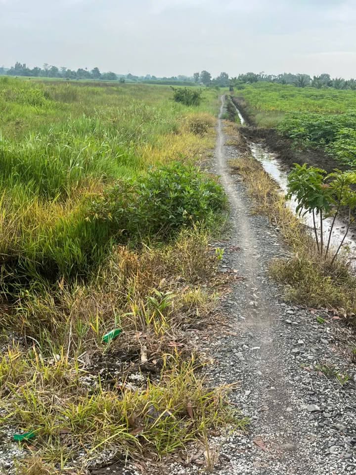 Đất vườn Củ Chi 2380m² giá rẻ - Cơ hội đầu tư ngay!