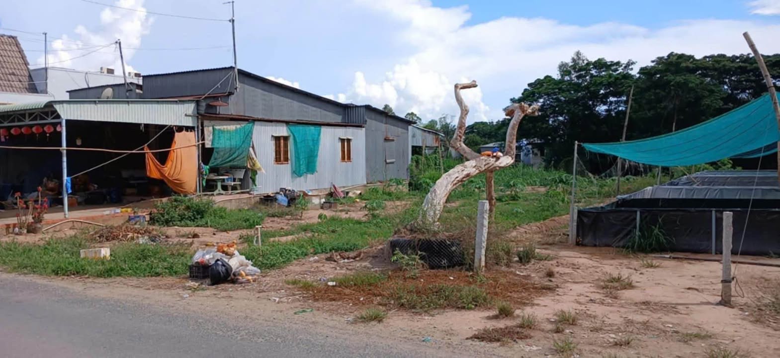 Đất nền Mặt tiền đường Nguyễn Chí Linh, Châu Phú, An Giang - Giá tốt, thương lượng ngay!