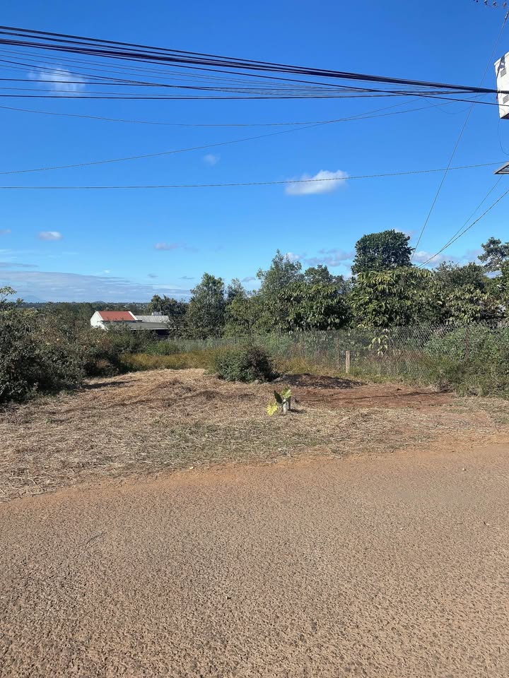 Lô đất mặt đường Tô Hiệu, Pleiku 125m² giá 7xx triệu - Đầu tư sinh lời hấp dẫn!