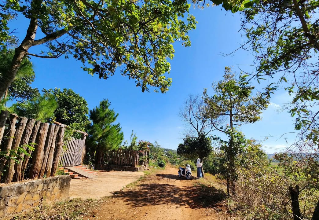 Đất nền phường Chi Lăng, Pleiku 360m² giá chỉ 8xx triệu - Cơ hội đầu tư tuyệt vời!